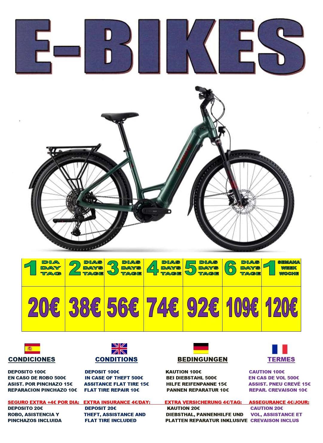 rent a e bike